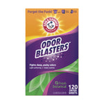 Tall portrait-style image of Arm & Hammer Odor Blasters Fresh Botanical dryer sheets box with visible 120 count label.