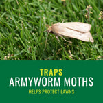 Close-up photo of a brown moth resting on grass with green banner text below stating it traps armyworm moths.