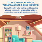 Illustrated indoor attic scene with text advising spraying to kill wasps, hornets, yellowjackets and bees in hiding and breeding places