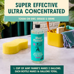 Aunt Fannie’s floor cleaner bottle on counter with sponge and yellow caddy, promotional text above