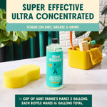 Lifestyle shot of Aunt Fannie’s floor cleaner bottle on a countertop with sponge and cleaning caddy and headline text