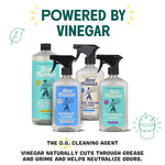 Promotional image showing multiple Aunt Fannie’s cleaner bottles with headline “Powered by Vinegar” above them