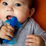 Infant holding and mouthing a blue shark-shaped silicone training toothbrush against an orange background