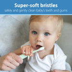 Baby being held while an adult guides a mint elephant training toothbrush into the baby's mouth