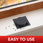 Close-up of ant bait station on a windowsill with several ants nearby and an “EASY TO USE” banner below