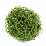 Loose ball of bright true-green preserved Spanish moss photographed on a white background