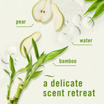Stylized ingredient graphic with bamboo stalks, pear slices, water droplets and text calling it 'a delicate scent retreat'.