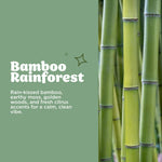 Green-themed Bamboo Rainforest panel showing bamboo stalks and descriptive text about the scent