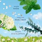 Graphic showing basil, bergamot and eucalyptus illustrations with floating scent beads and labeled top, middle and base notes
