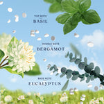 Graphic showing basil, bergamot and eucalyptus with floating scent beads and text naming top, middle and base notes