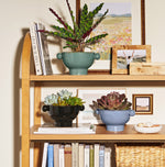 Styled shelf scene with three ceramic knob-handle planters in charcoal, teal, and blue displayed with books and decor