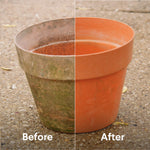 Terracotta plant pot shown split before-and-after cleaning to show removed dirt and algae