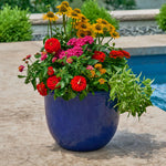 Blue planter filled with colorful annual flowers placed on a poolside patio, showing the planter's glossy finish.