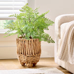 Water hyacinth round footed planter holding a leafy green plant beside a sofa and window