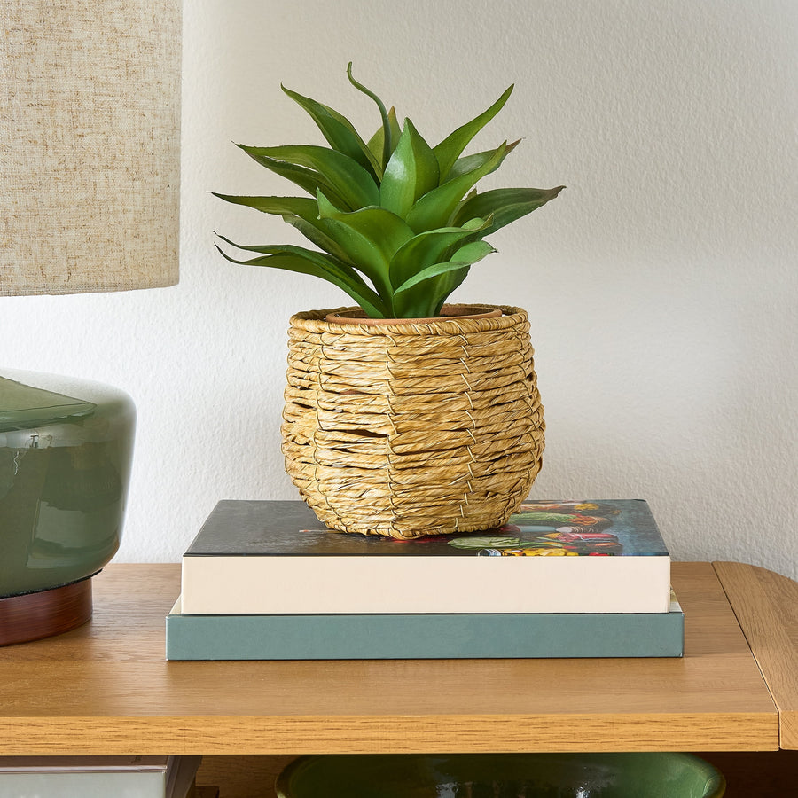 Small woven faux seagrass vase styled on stacked books on a wooden table next to a lamp