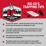 Graphic titled 'Big Ed's Trapping Tips' with an illustrated character, mice and traps and bulleted trapping advice on a red and gray background