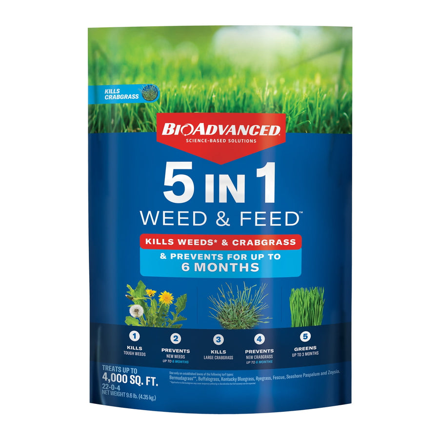 Front-facing blue bag of BioAdvanced 5-in-1 Weed & Feed with product name and lawn imagery