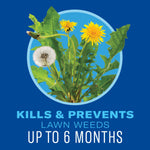 Close-up graphic of a dandelion plant inside a circular frame with text claiming kills and prevents lawn weeds