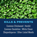 Close-up of green chickweed groundcover above a blue panel reading “Kills & Prevents” and a list of common lawn weeds