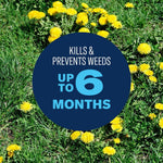 Photo of dandelions in grass with a dark blue circle stating “Kills & Prevents Weeds Up to 6 Months”