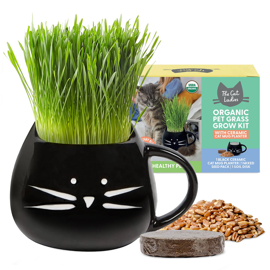 Glossy black ceramic cat-face mug planter filled with tall green pet grass, soil disk and seed pile beside it with product box in background.