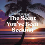 Promotional Black Coconut image with silhouetted palm tree at sunset and bold text 'The Scent You've Been Seeking'