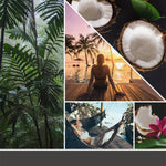 Collage lifestyle image with coconuts, palm trees, sunset and relaxing scenes suggesting tropical Black Coconut scent