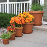 Grouped set of terra cotta Bloem planter pots of varying sizes with orange flowers displayed on outdoor steps.