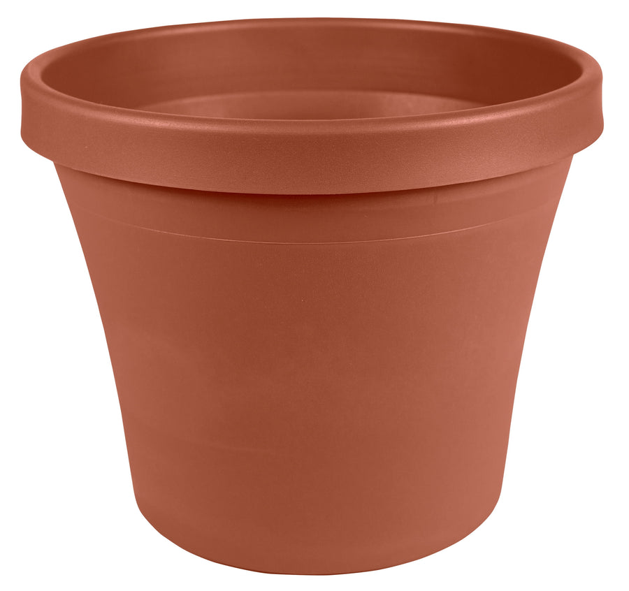 Close-up product photo of a plain terra cotta-style Bloem planter pot with a rolled rim on white background.