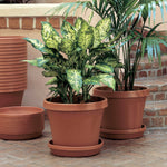 Two terra cotta Bloem planter pots with saucers and green houseplants staged on a brick patio setting.