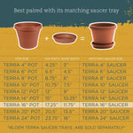 Infographic chart showing Terra pot sizes, top/base widths and matching saucer sizes with product illustrations.