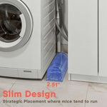 Translucent blue humane mouse trap placed on a floor next to laundry appliances illustrating slim placement.