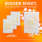Comparison graphic showing regular dryer sheets versus a larger Bounce Intense sheet with 'Bigger sheet, packed with more power' text.