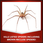 Close-up studio image of a brown spider above text claiming it kills listed spiders including brown recluse.