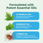 Infographic listing three essential oils used in the product with small illustrations of citronella, cornmint leaves, and linseed.