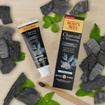 Flatlay of Burt's Bees Charcoal + Whitening toothpaste tube and box surrounded by charcoal pieces, mint leaves and a wooden toothbrush