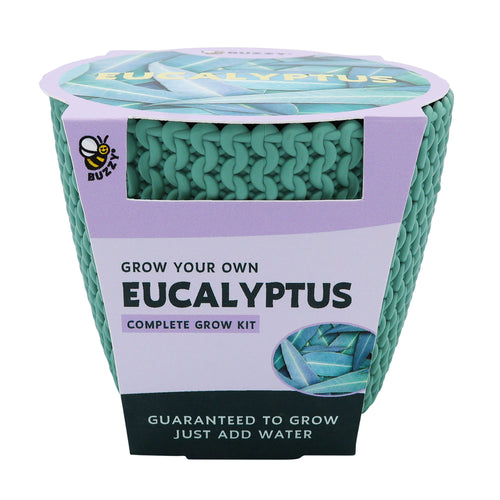 Mint-green woven-pattern grow pot in Buzzy packaging labeled 'Eucalyptus' complete grow kit