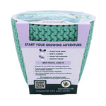 Rear view of Buzzy eucalyptus grow kit packaging with planting instructions and benefits printed on sleeve