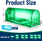 Green translucent Campior humane mouse trap shown with product dimensions and availability icons for pack sizes
