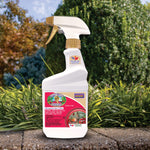 Captain Jack's Deadbug Brew ready-to-use spray bottle placed outdoors on a stone ledge with garden background
