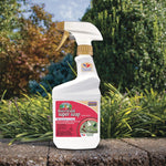 Captain Jack's Insecticidal Super Soap ready-to-use spray bottle shown outdoors on a garden ledge with plants behind