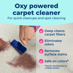 Close-up lifestyle graphic showing hand using Carbona brush on carpet stains with benefit bullets at right