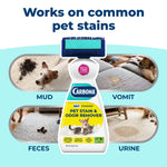 Carbona bottle centered with vignettes showing mud, vomit, feces and urine stains the product addresses