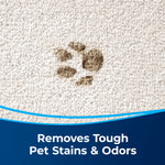 Close-up carpet image showing a pet paw stain and text reading ‘Removes Tough Pet Stains & Odors’