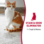 Orange-and-white cat sitting on a carpet next to graphic text reading stain & odor eliminator