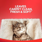 Smiling cat nestled on a soft white carpet under headline 'Leaves carpet clean, fresh & soft' on a red background