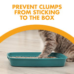 Close-up of a cat paw digging in a teal litter box beneath headline 'prevent clumps from sticking to the box'