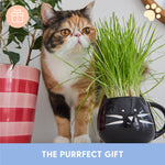 Short-haired cat on a shelf beside a black cat-face mug planter overflowing with fresh green pet grass, decorative pot visible nearby.