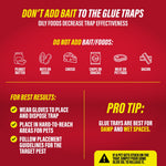 Red infographic advising not to add bait to glue traps with icons for peanut butter, cheese, chips, meat and bacon and placement tips