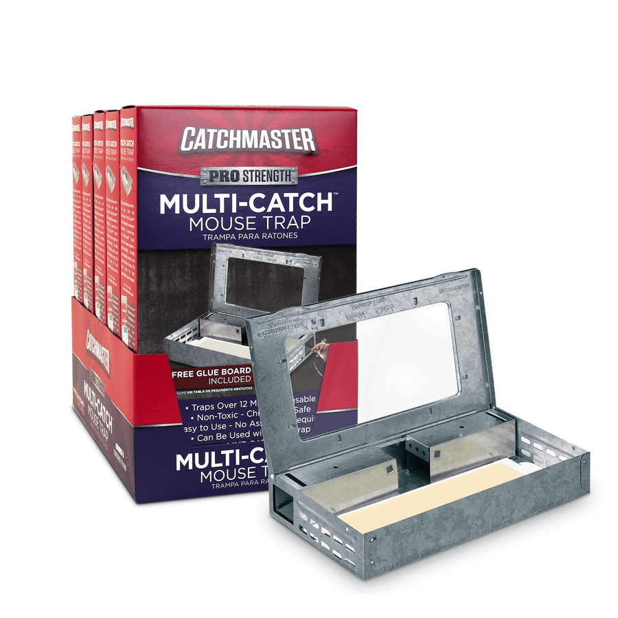 Catchmaster multi-catch metal mouse trap with a visible glue board and retail box display behind it on white background.